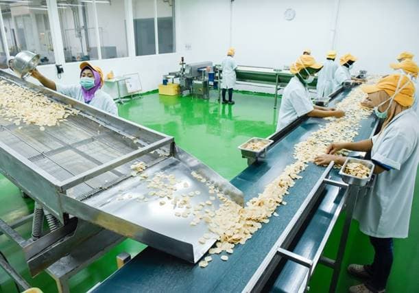 Cracker production line